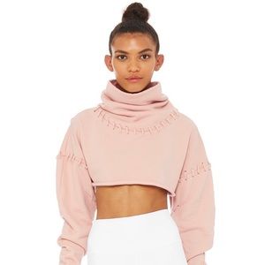 Alo Splice Long Sleeve Crop Top (Nectar) SZ Large